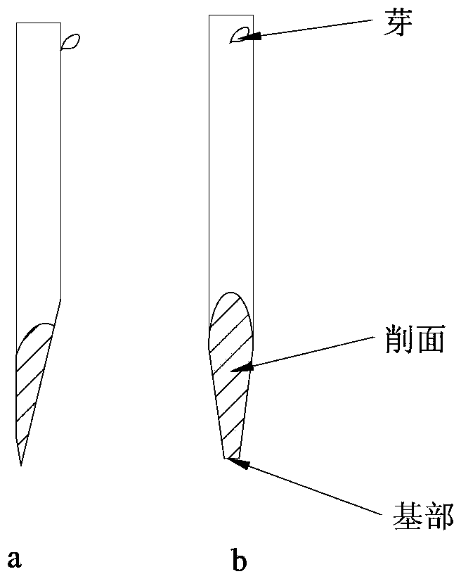 All-branch grafting method for fruit tree