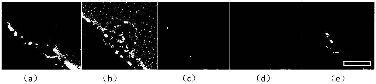 A method for preparing fullerene nanostructures