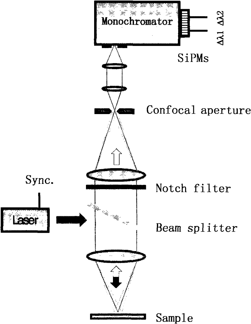 Time-resolved Raman scattering characteristic spectrum analyzer