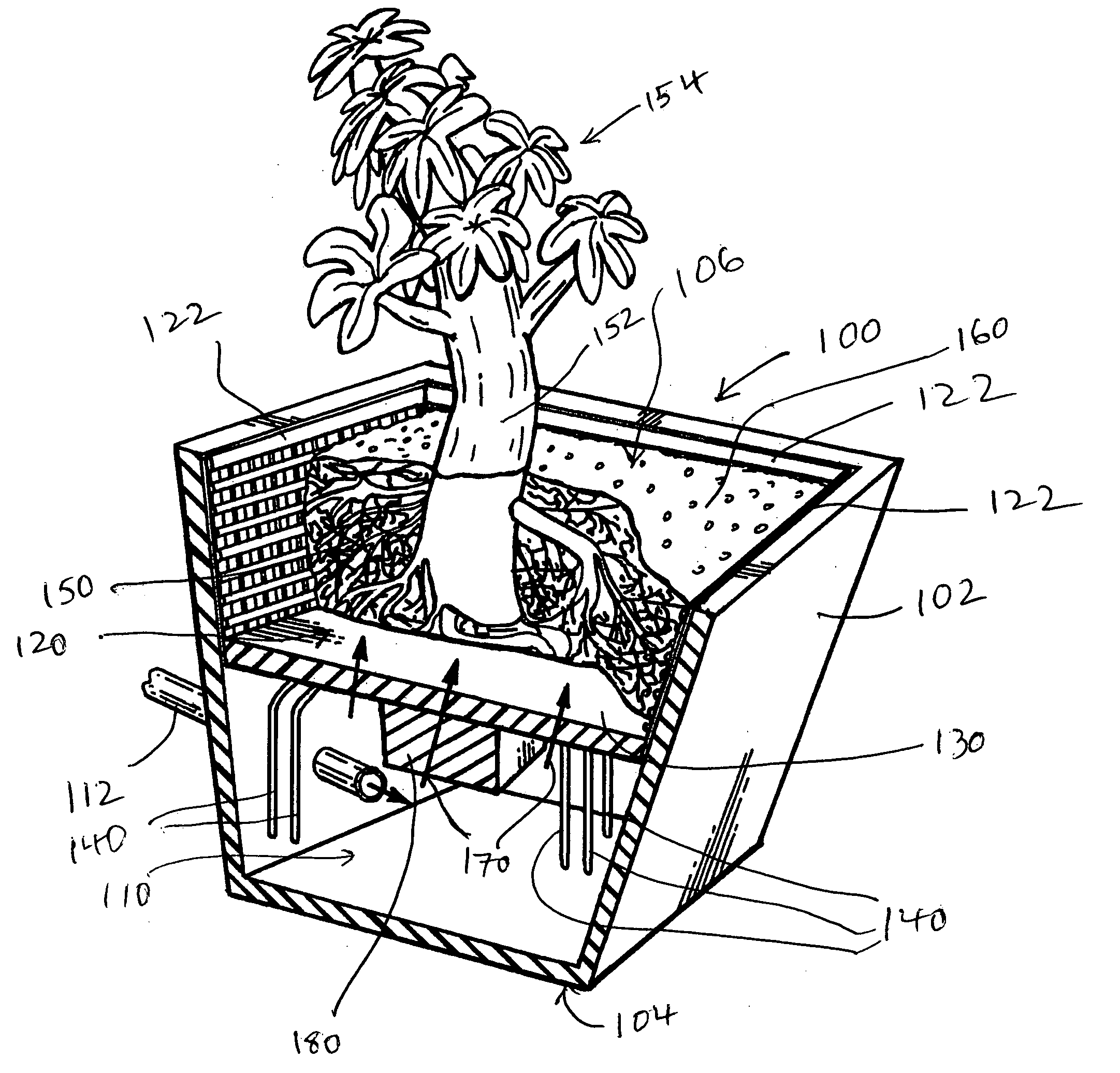 System and method for promoting growth of multiple root systems in a hydroponic environment