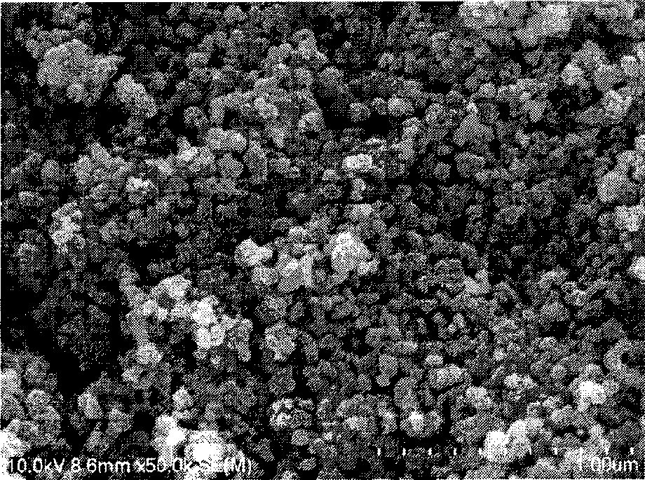 Method for preparing perovskite type LaFe0.5Mn0.5O3 by geoceric acid solution combustion method