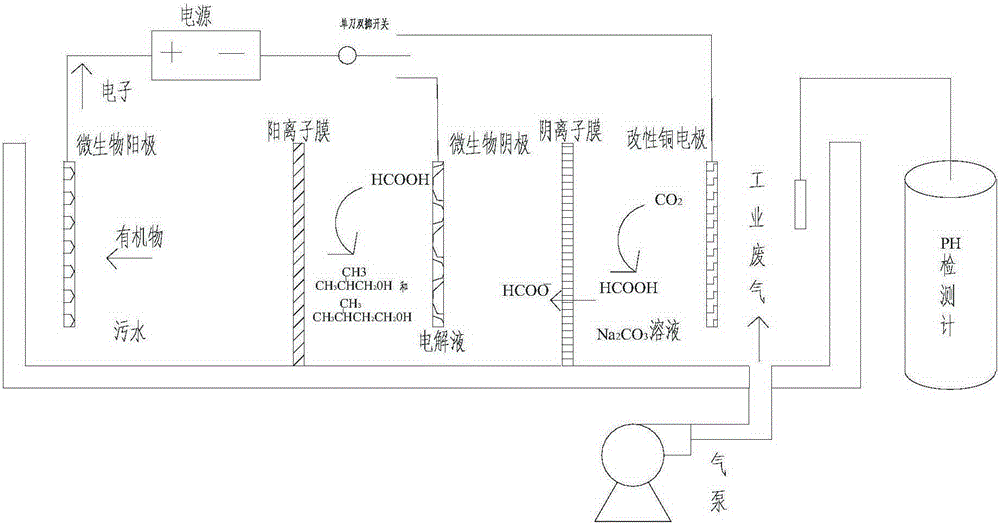 Microbial electrochemical reactor for fixing carbon dioxide in exhaust gas to generate organic products and simultaneously processing sewage and method thereof