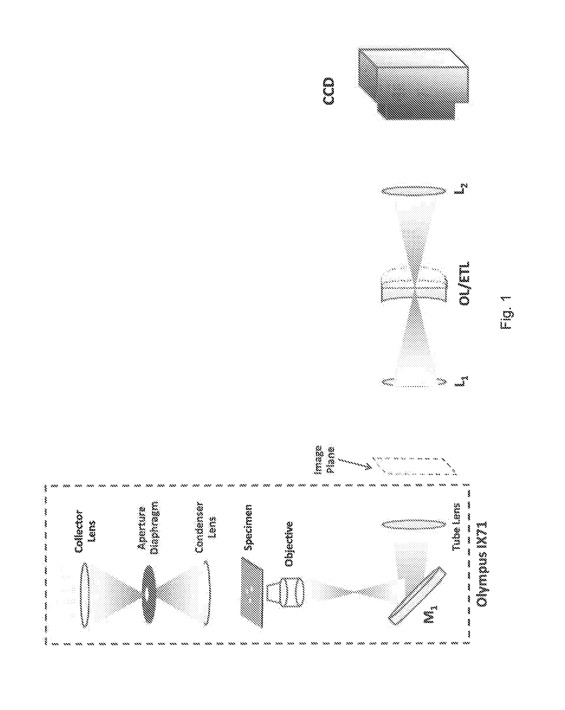 Methods and systems for transport-of-intensity imaging