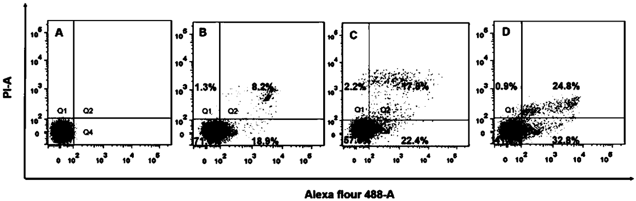 Application of iridium complex in preparing mitochondria targeted anti-tumor drugs