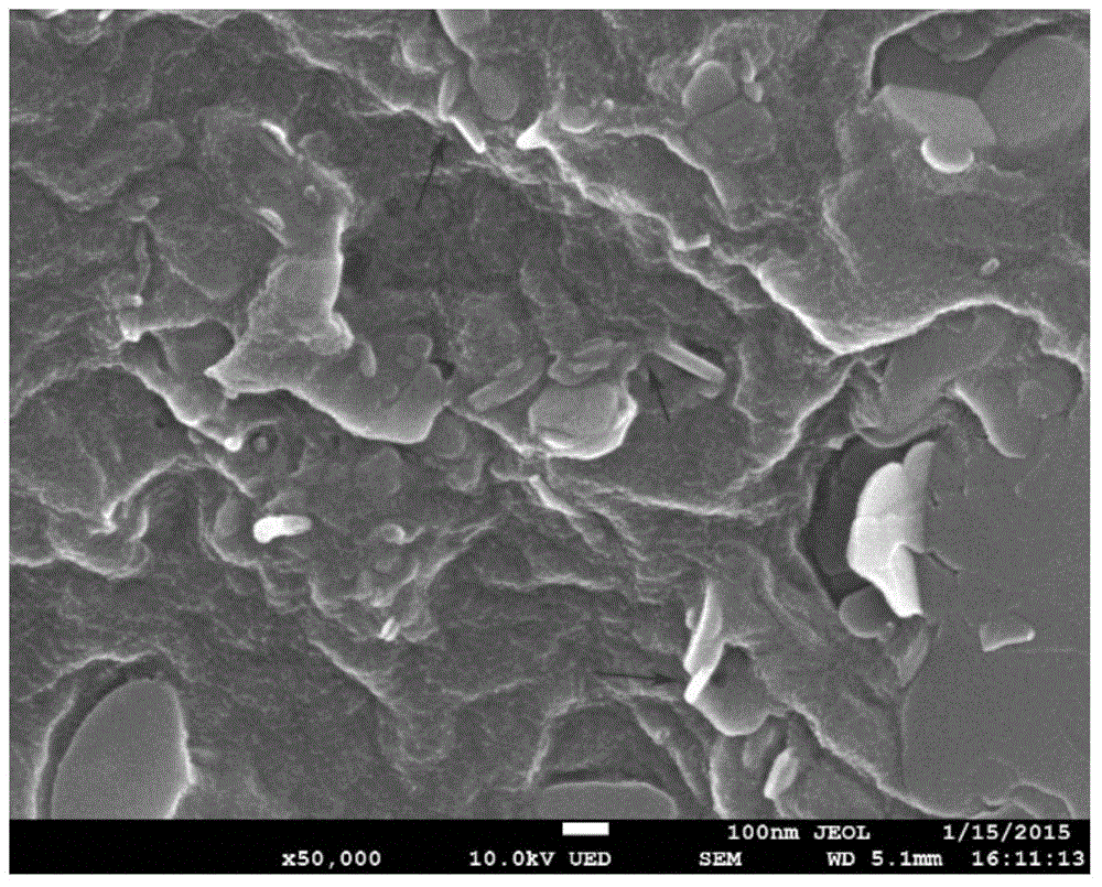 Heat-conducting and insulated composite material based on carbon nanotubes and preparation method for composite material