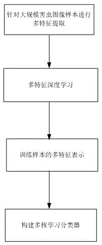 Agricultural pest image recognition method based on multi-feature deep learning technology