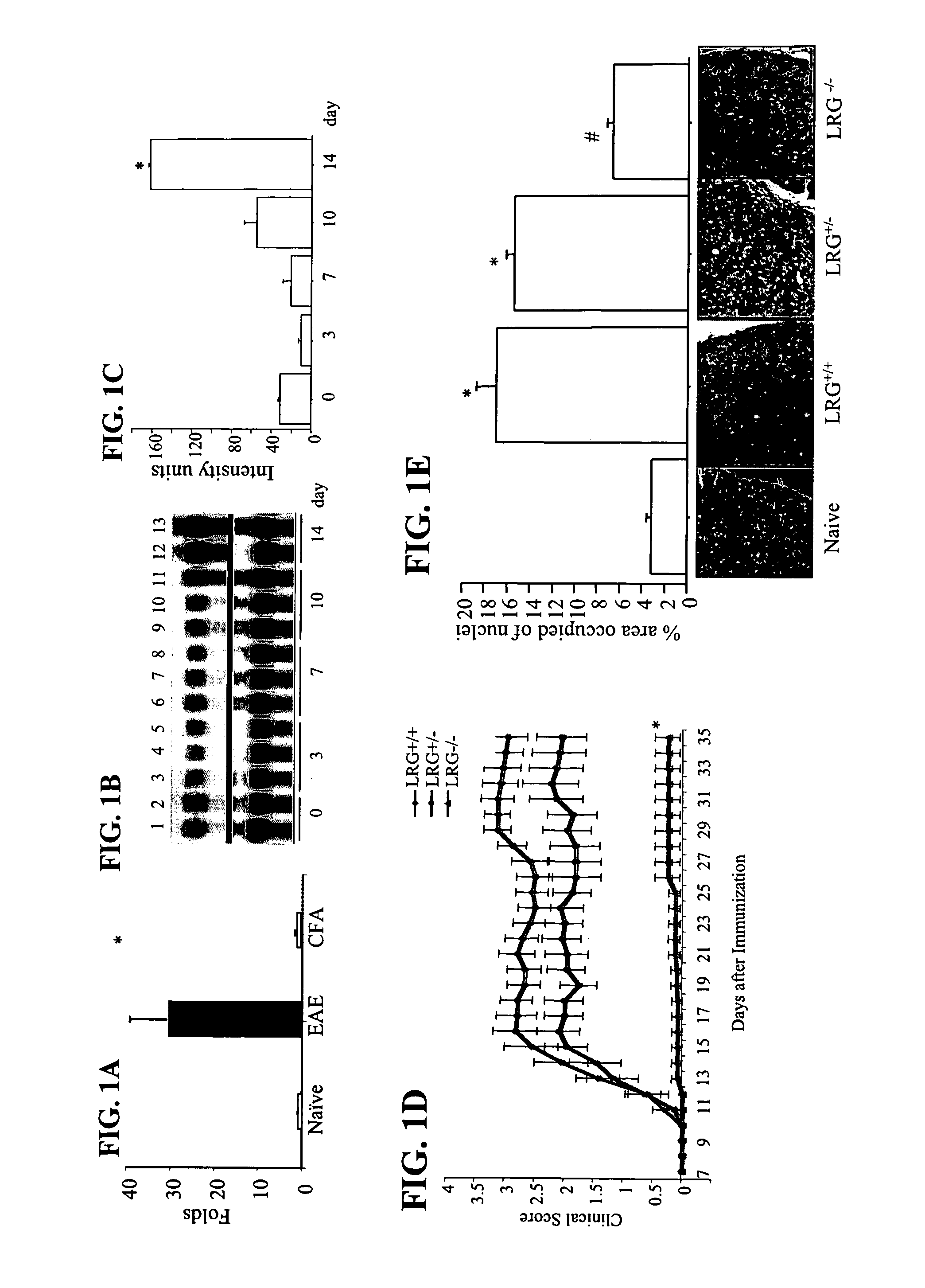 Methods for treating and preventing multiple sclerosis