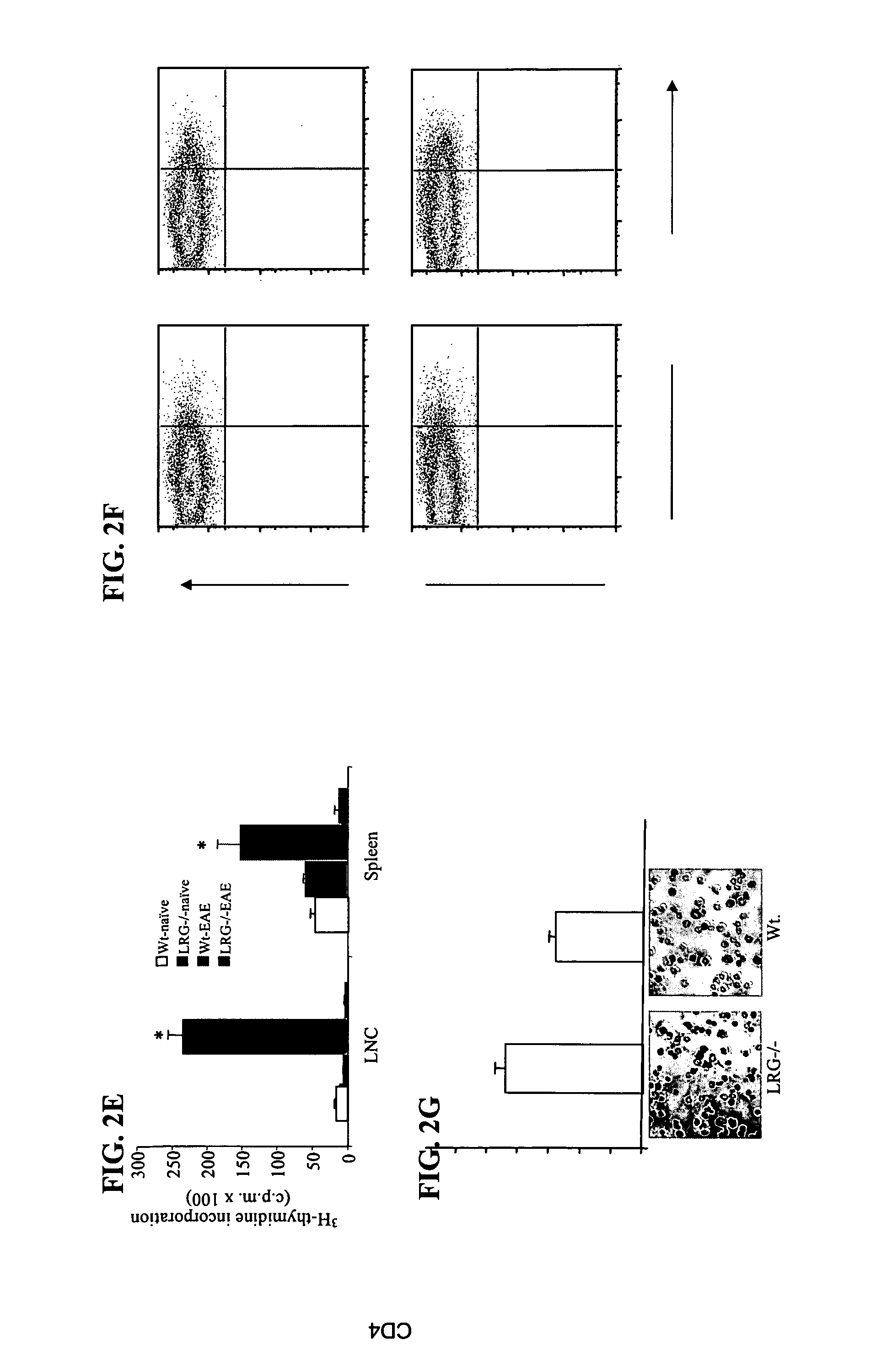 Methods for treating and preventing multiple sclerosis