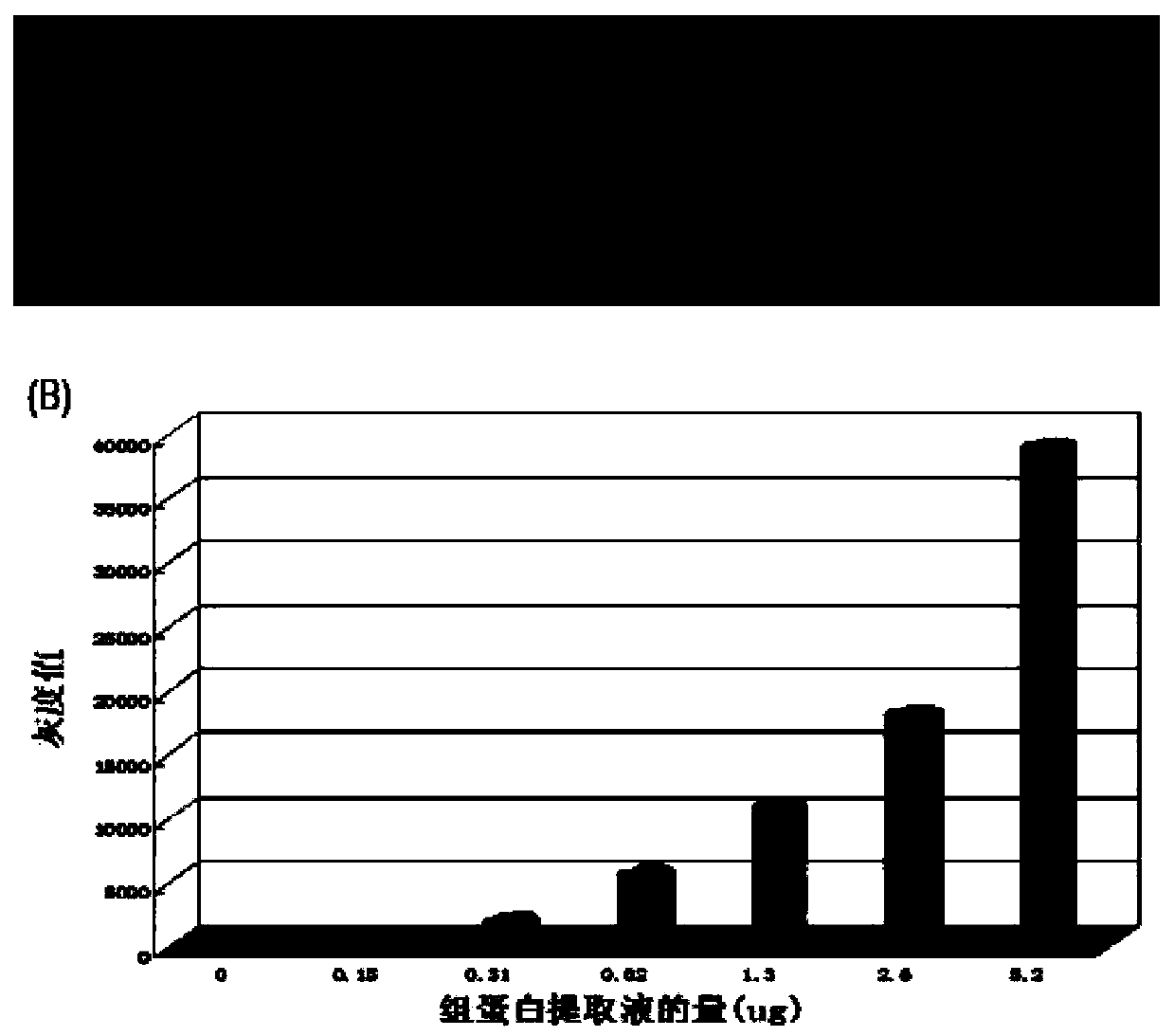 Signal-enhanced test strip biosensor for detecting histone methylation