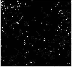 Way extracting method integrating object-oriented segmentation and grayscale morphology