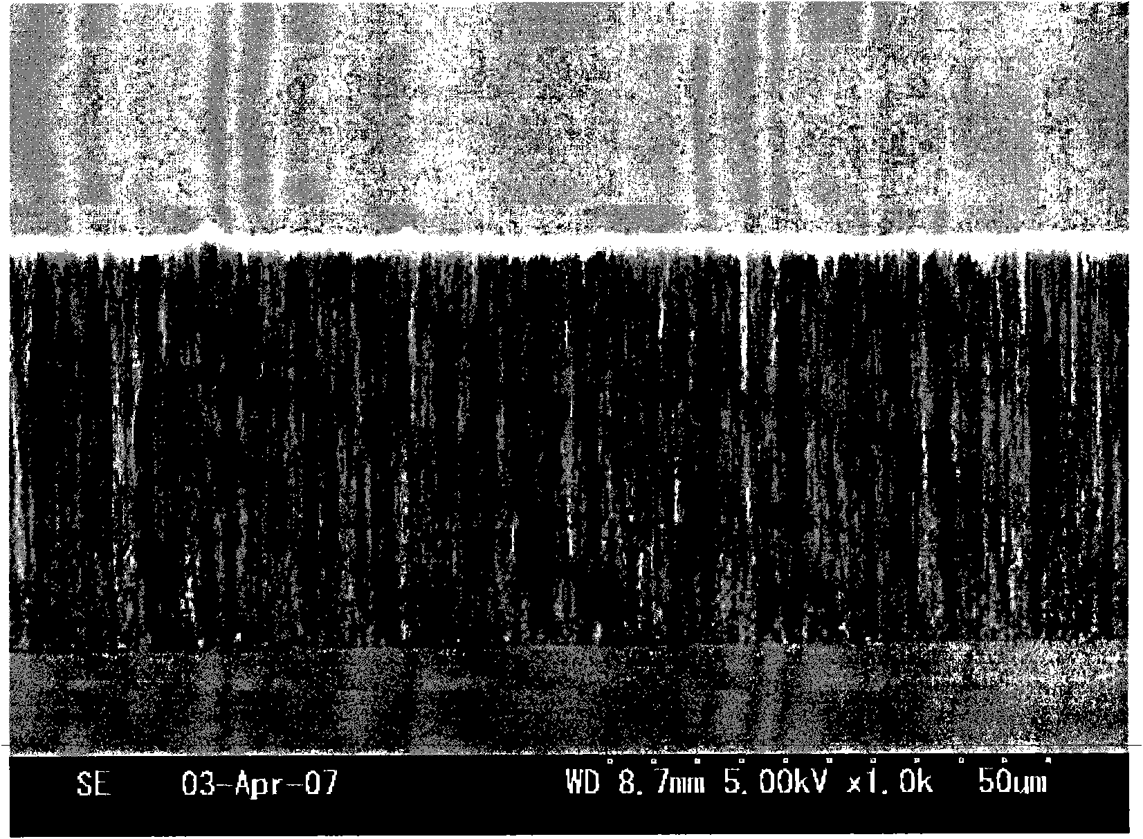 Substrate supporting mechanism