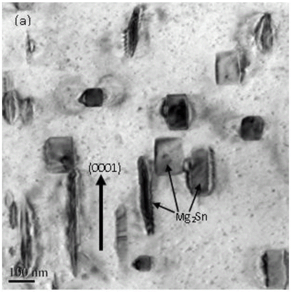 High-strength magnesium alloy and method for preparing high-strength magnesium alloy by inducing orientation of precipitated phase to change