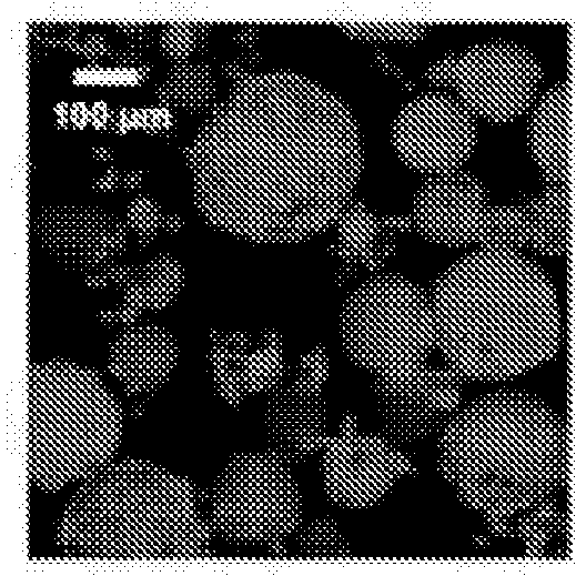 Crosslinked polysaccharide beads and their biomedical uses