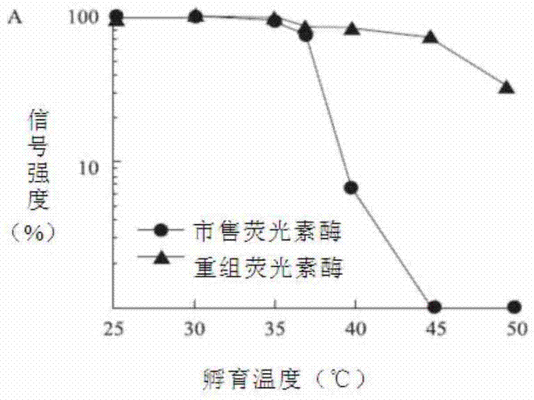 ATP releasing agent and germ fast detection reagent containing ATP releasing agent