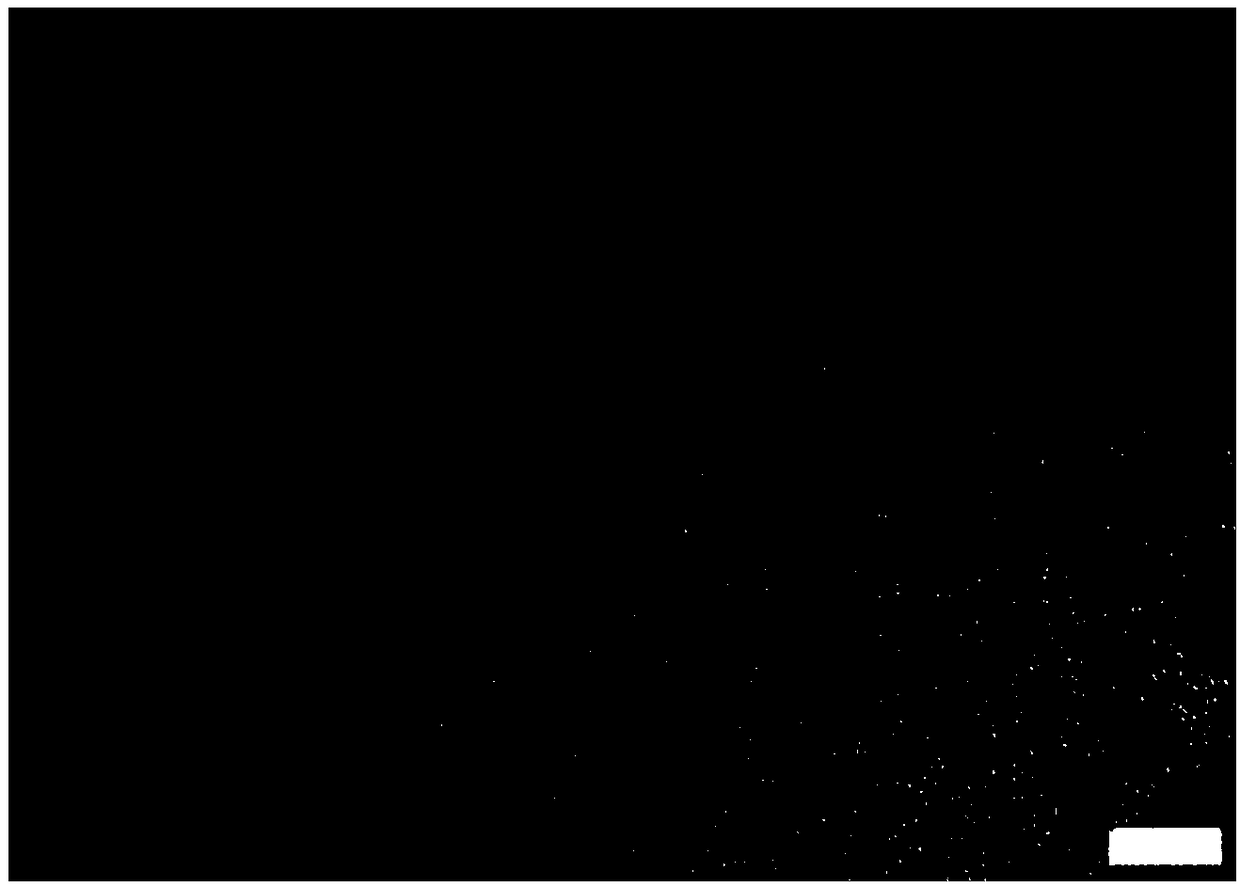 Na3V2(PO4)3/C composite material with quantum dot structure and preparation method thereof