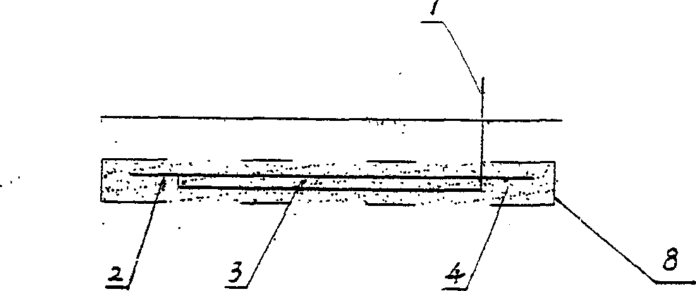 Electrochemical earthing body