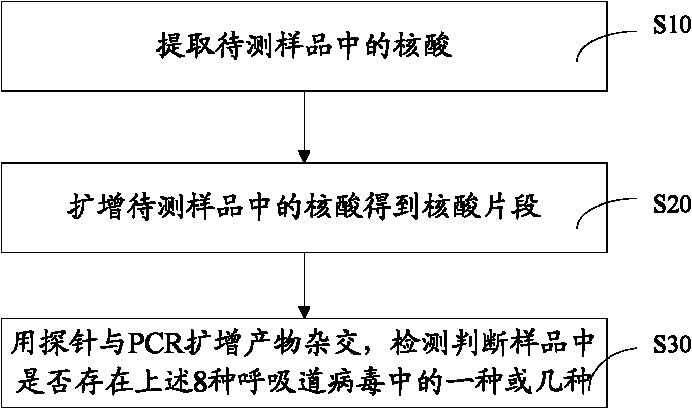 Respiratory virus detection kit and detection method