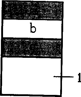 Optical fibre bio-sensor of acetylcholinesterase and its preparing process