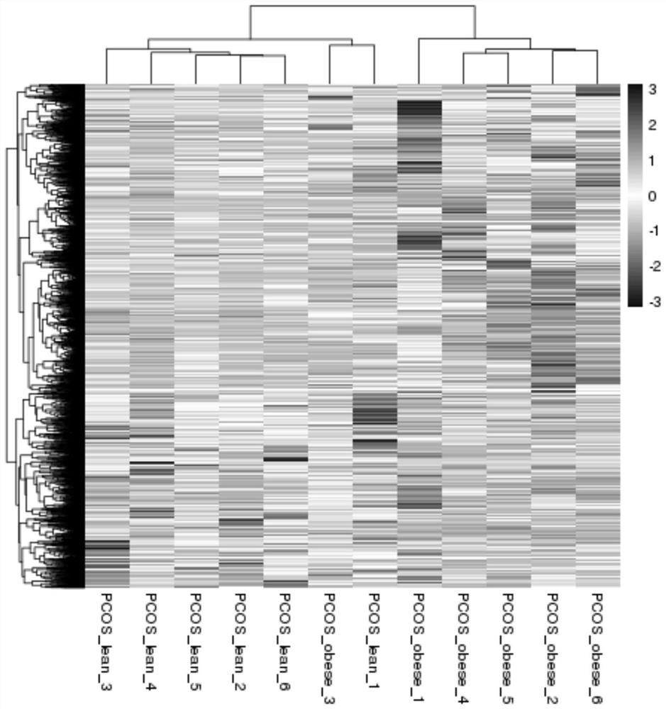 Set of endometrial receptivity biomarker, kit and method for judging endometrial receptivity