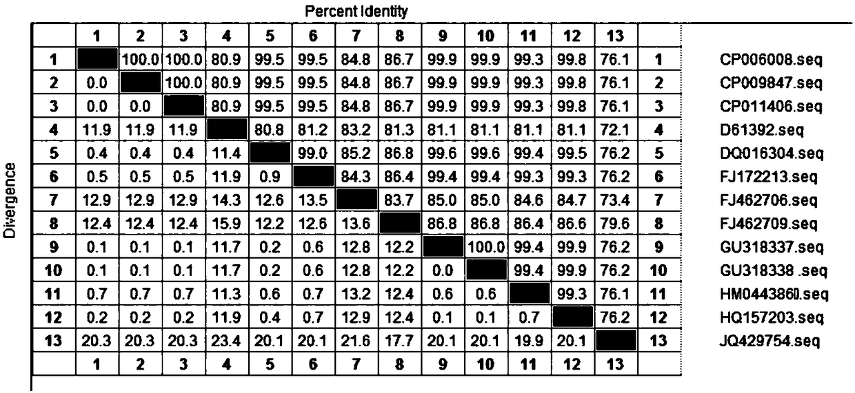 Recombinant OmpK multi-epitope polypeptide, construction method and application thereof