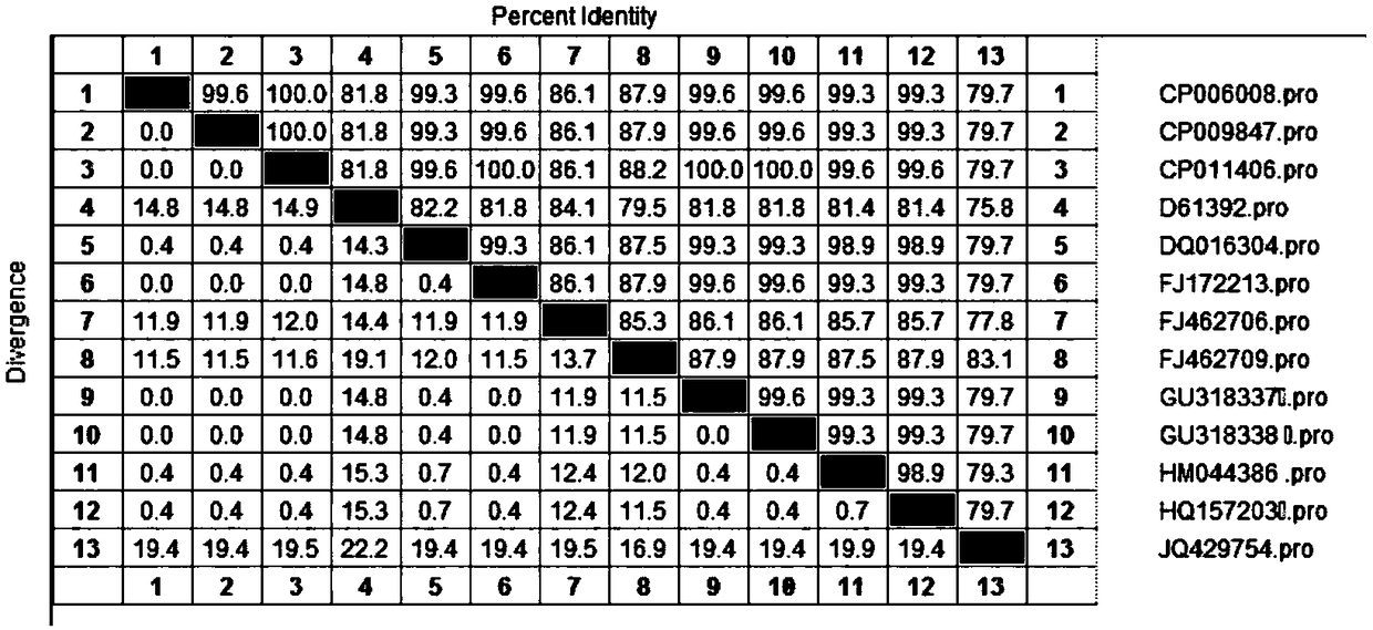 Recombinant OmpK multi-epitope polypeptide, construction method and application thereof