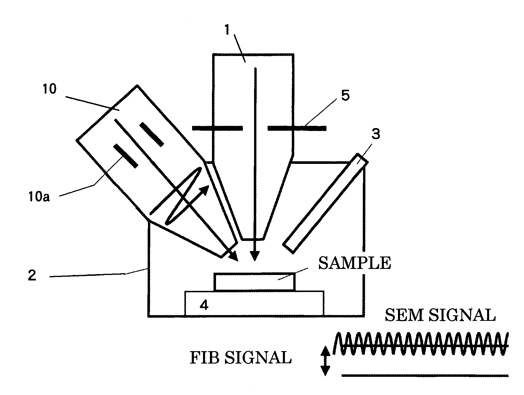 Composite system of scanning electron microscope and focused ion beam