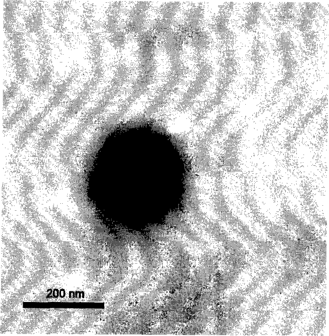 Biogastrone acid-polyethyleneglycol /chitosan liver target composite drug administration system and preparation thereof