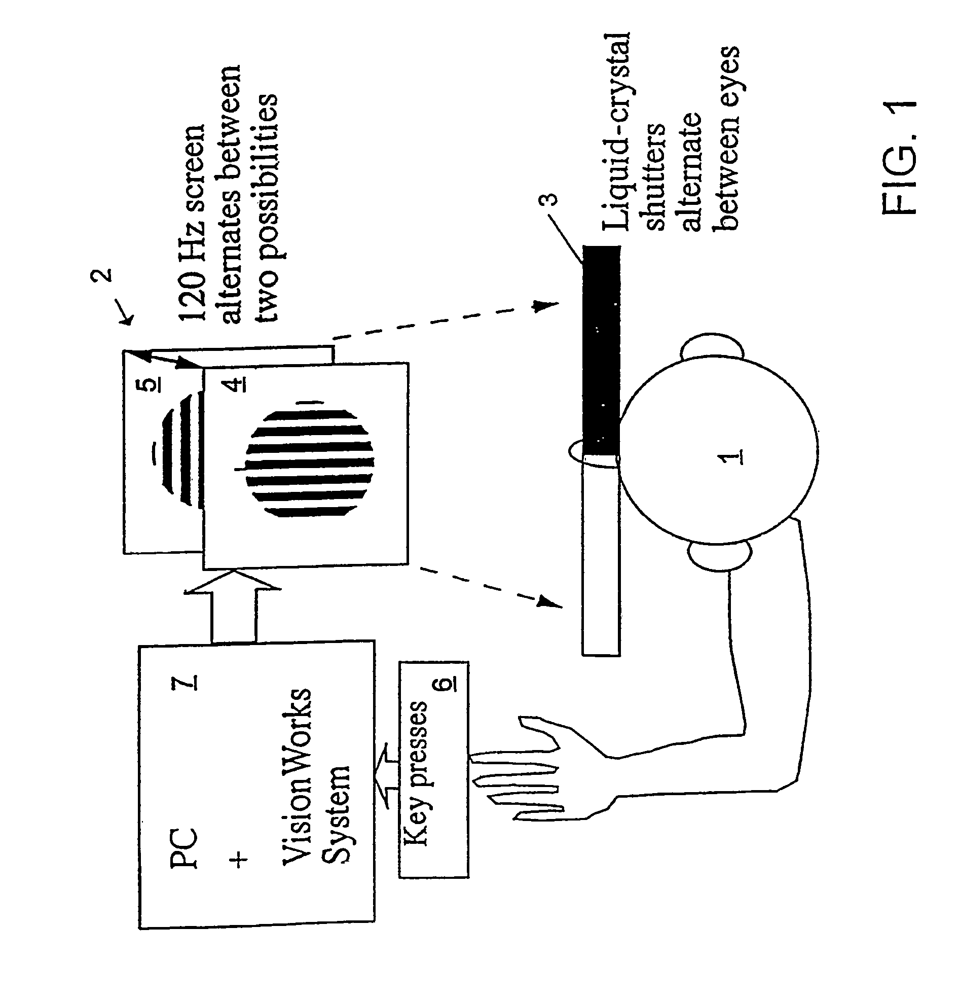 Method and apparatus for diagnosing schizophrenia and schizophrenia subtype