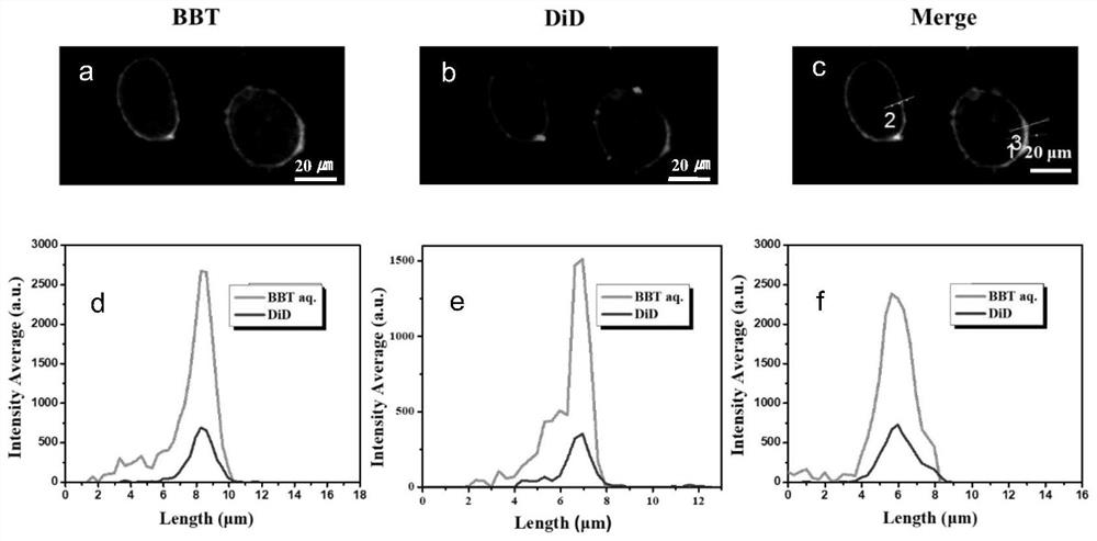 Target membrane micromolecule and preparation method and application thereof