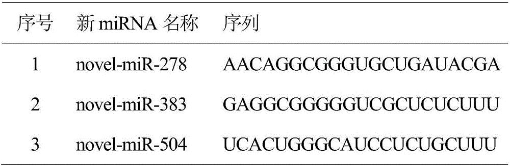 Method for constructing dairy cow mammary gland differential expression gene regulation and control network under condition of heat stress