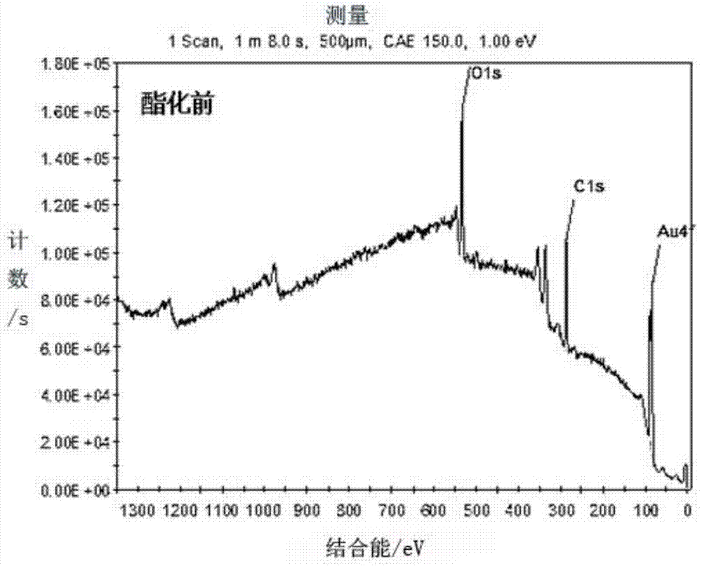 Small-molecule microarray and preparation method thereof