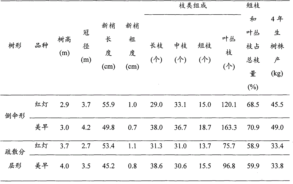 A kind of shaping and pruning method of inverted umbrella shape of big cherry tree