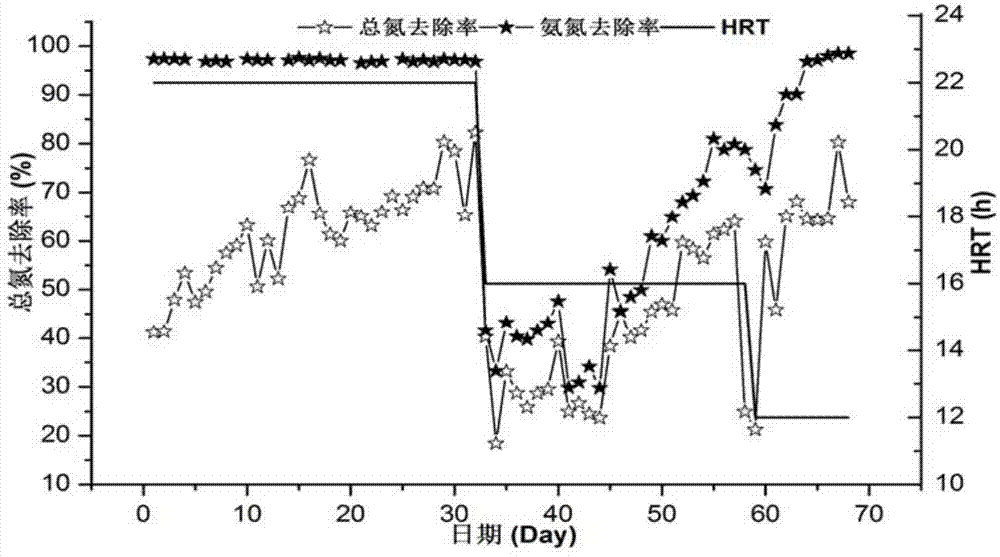 Quick start method for cultivating granular sludge employing completely autotrophic nitrogen removal process