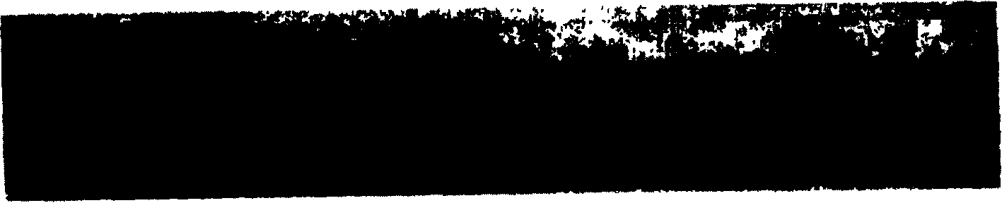 Preparation method of creature dross grain emulated crystallite glass composite plate