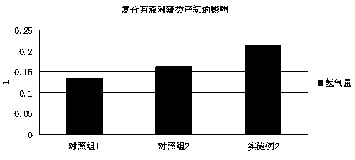 Process for producing hydrogen by cooperatively using scenedesmus obliquus and fungus