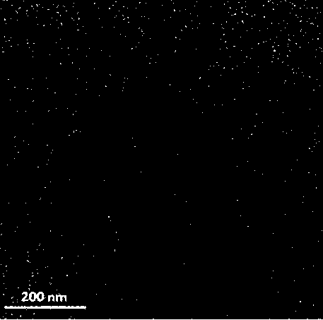 Preparation method of silicon doping carbon quantum dots by adoption of solvothermal method and applications thereof