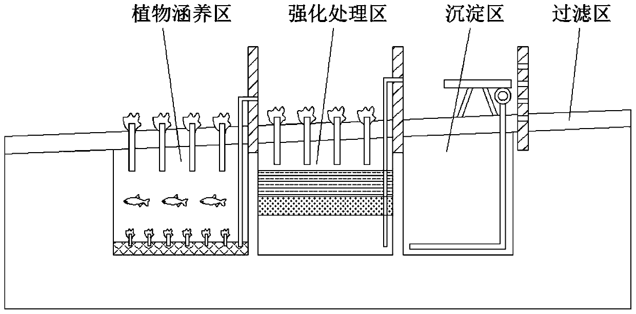 Ecological restoration method for urban eutrophication river channel