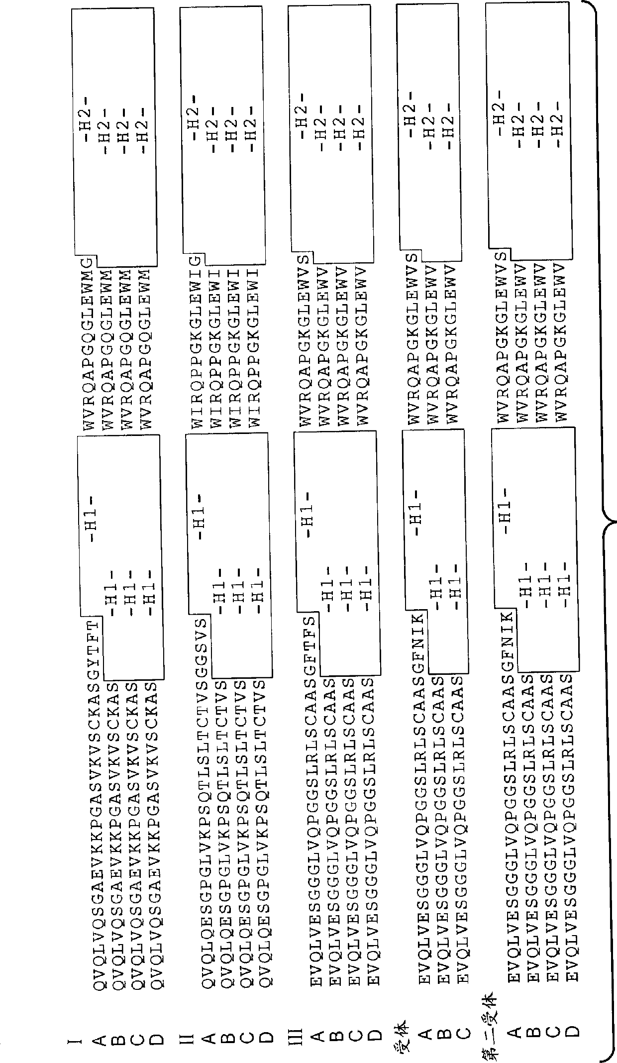 Anti-dll4 antibodies and methods using same.