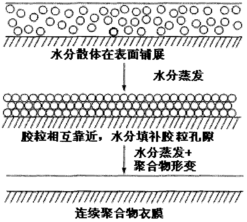 Method for improving aging resistance of film-controlled sustained-release pellet coated with aqueous dispersion