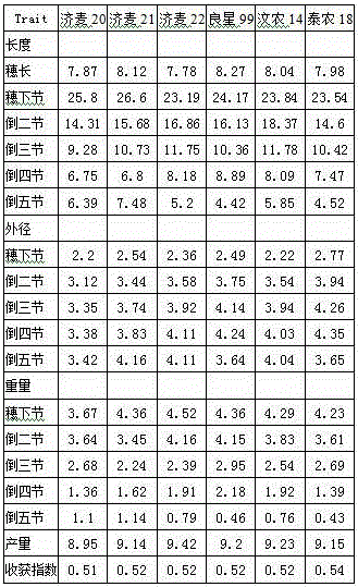 Method for breeding high-yield winter wheat by stalk characteristic