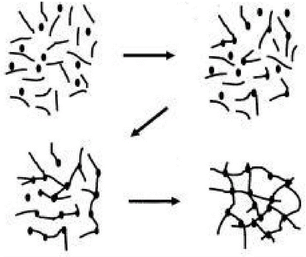 Hydrogen-bond-crosslinked type water-in-water multicolor paint and preparation method thereof