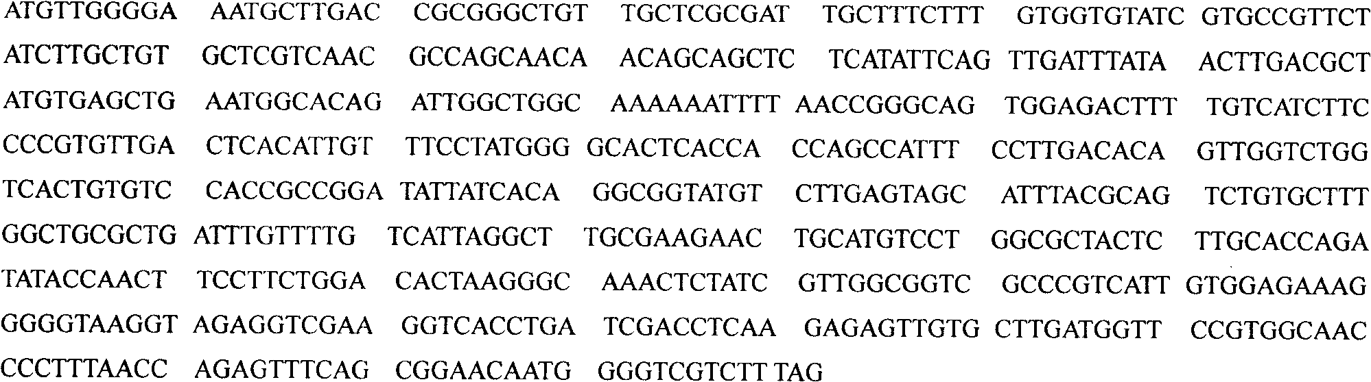 Ankara vaccinia virus genetic engineering vaccine for pig replication and respiration complex