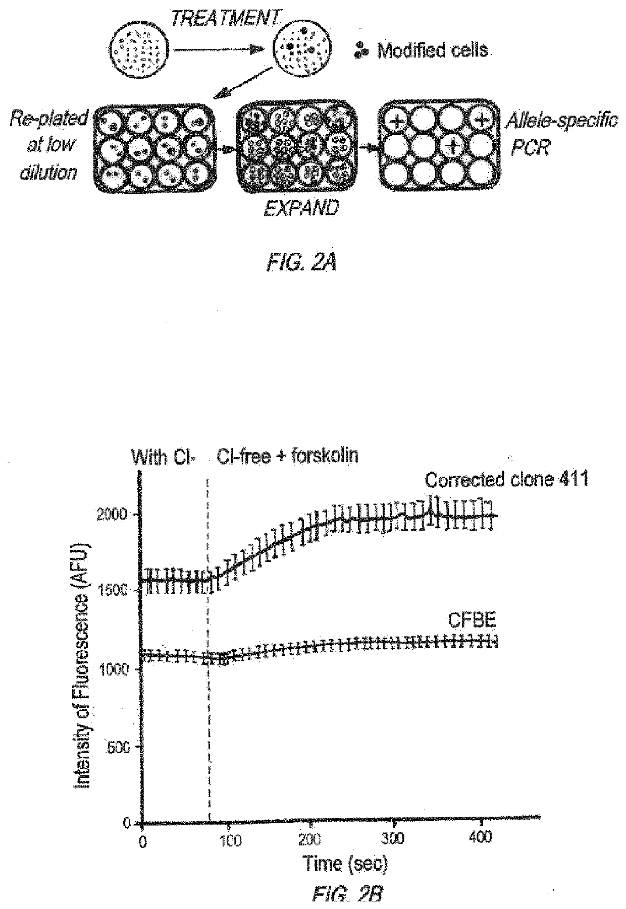 Compositions and methods for treatment of cystic fibrosis