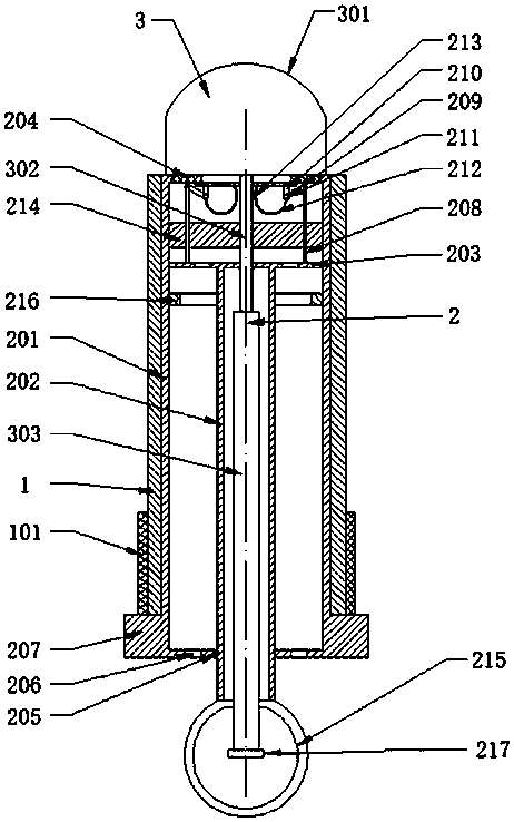 Surgical treatment device for rectal prolapse