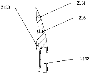 Surgical treatment device for rectal prolapse