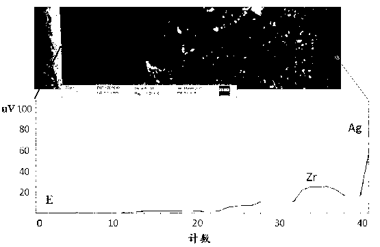 Fixed film for synchronously enriching phosphorus and sulphur and manufacturing method for fixed film