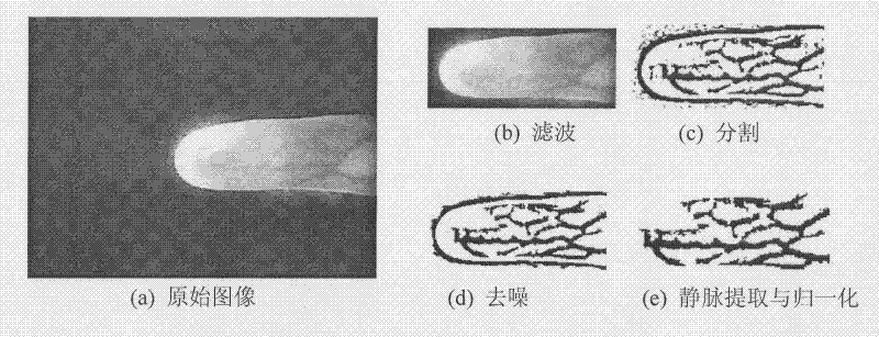 A Finger Vein Feature Extraction and Matching Recognition Method