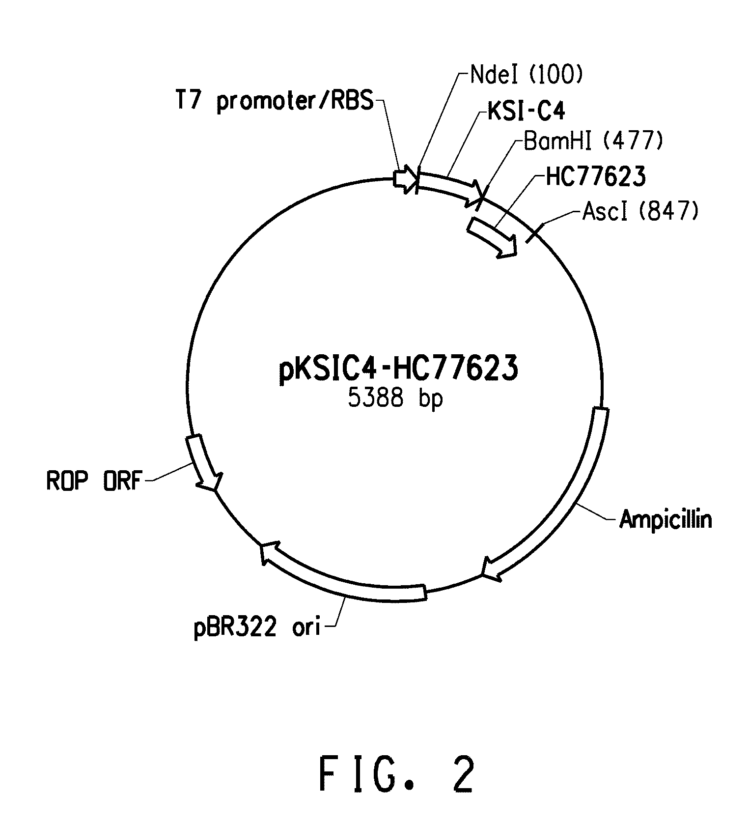 Recombinant peptide production using a cross-linkable solubility tag