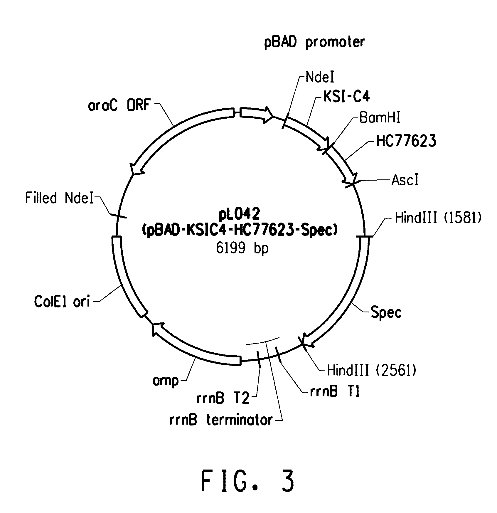 Recombinant peptide production using a cross-linkable solubility tag