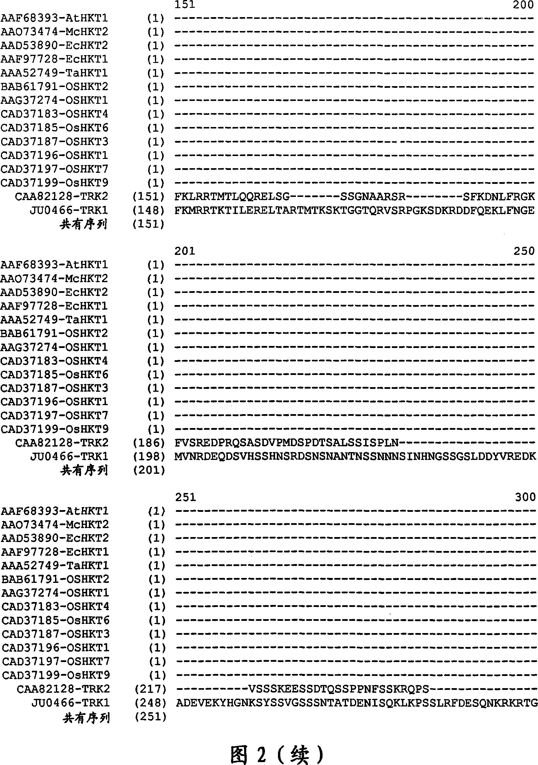 Plants having improved growth characteristics and method for making the same